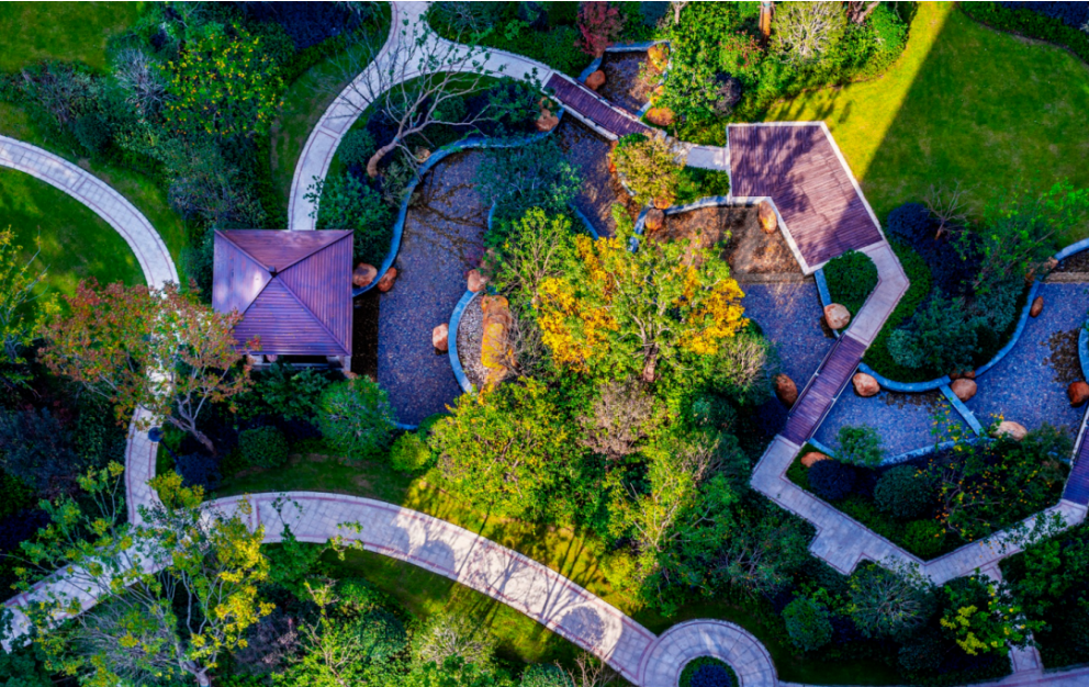 zoty��ŷ��(�й����޹�˾)�ٷ���վ