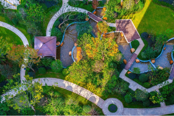 1608002965122935Rvra.png image.png