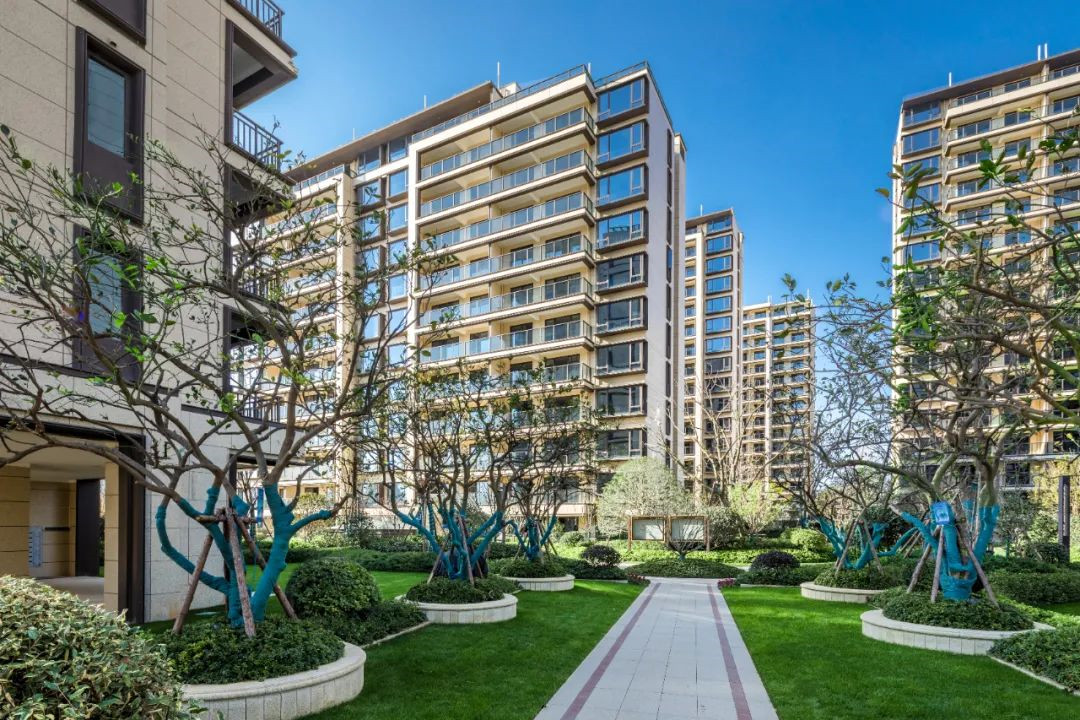 1612746491455765kAyO.jpg da2cf188bc50b6ef653d4c50dd4d8948.jpg