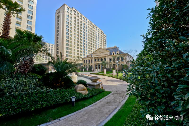 1620621302287461rOmU.png image.png