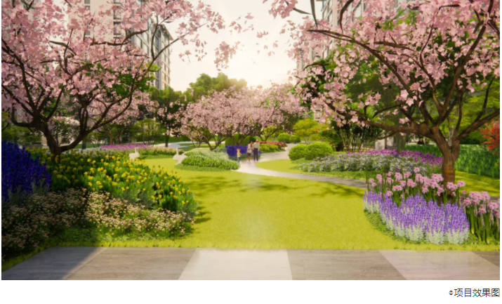 1635732876632277lOwS.png image.png