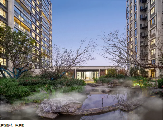 1641986041780141Miop.png image.png