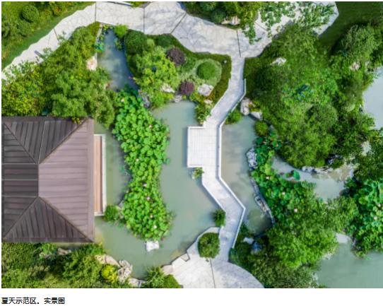 1641986077652520YXS5.png image.png