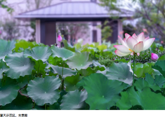 1641986087787866RadY.png image.png