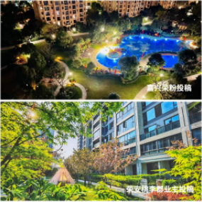 1654044310459317nN1i.png image.png