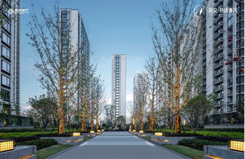 166452966828379019hJ.png image.png