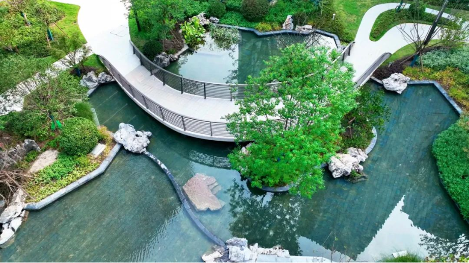 166453003355813656qv.png image.png