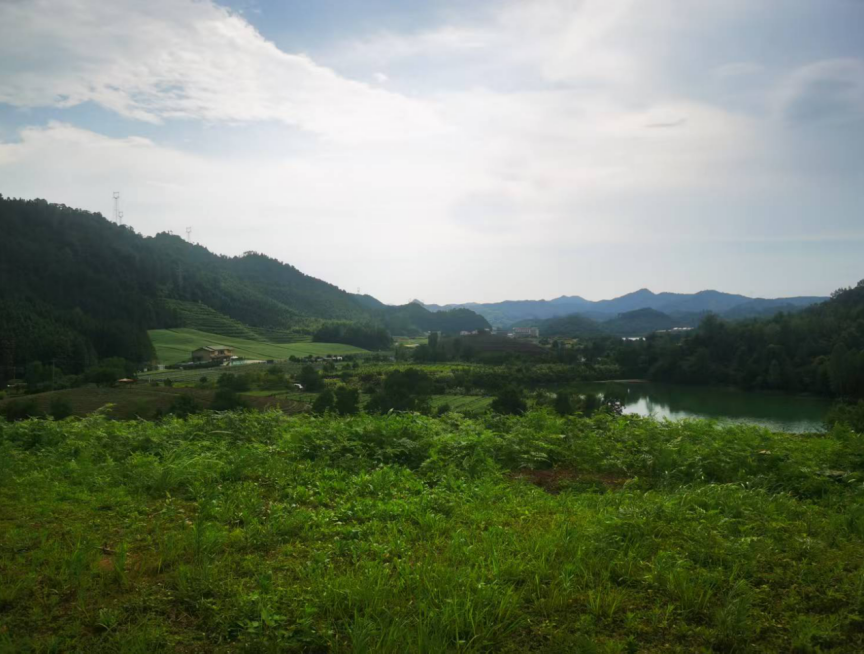 1753250118743062hqUH.png image.png